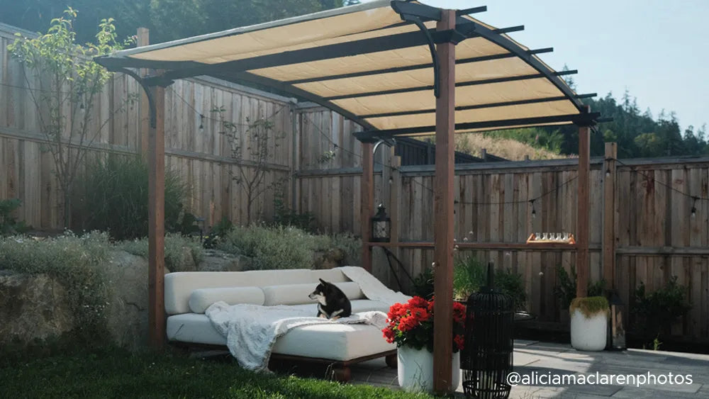 Why Warm Colors Work Best for Fall and Thanksgiving Decor?