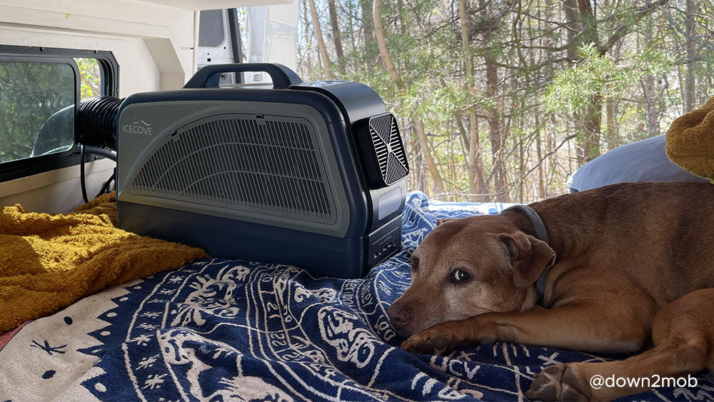 Stay Cool Anywhere: How the SUNJOY Portable Air Conditioner Upgrades Summer Travel