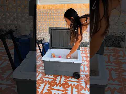 SUNJOY 60-Quart Best Large Beach Ice Cooler with Wheels and Handle