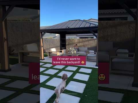 SUNJOY Outdoor Patio 12' x 14' Solar Powered Backyard Hardtop Wooden Gazebo with LED Light and Bluetooth Sound