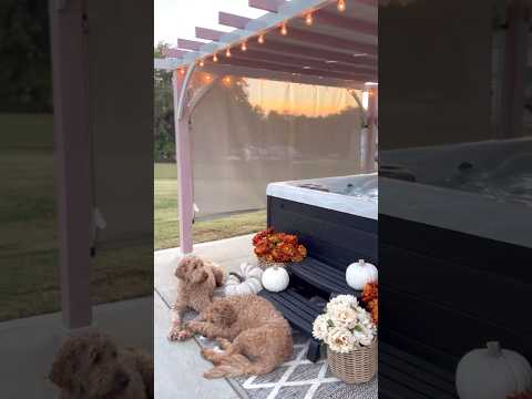 SUNJOY Outdoor Patio 12x14 Modern Metal Pergola Kit with Light Grey Adjustable Canopy