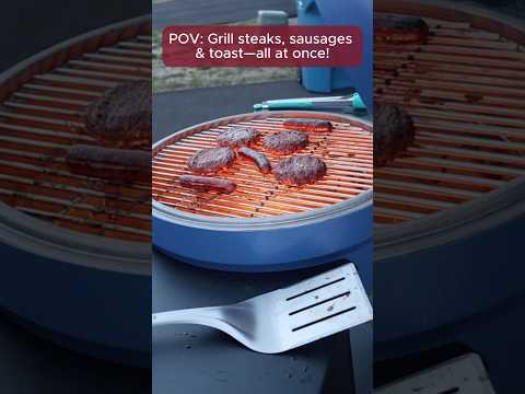 SUNJOY 20 Inch Charcoal Grill, Egg-shaped Outdoor Grill with Pizza Stone, Ultimate BBQ Grill and Smoker with Wheels