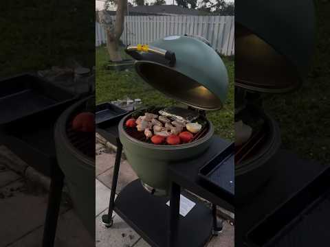 SUNJOY 20 Inch Charcoal Grill, Egg-shaped Outdoor Grill with Pizza Stone, Ultimate BBQ Grill and Smoker with Wheels