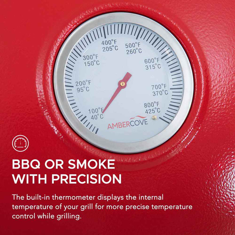 Sunjoy Charcoal Grill | Egg-shaped Outdoor Grill | BBQ Grill Smoker
