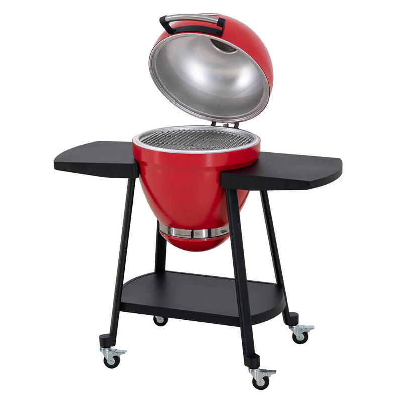 Sunjoy Charcoal Grill | Egg-shaped Outdoor Grill | BBQ Grill Smoker